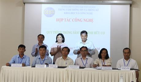 Hợp tác sản xuất Sâm bố chính: hứa hẹn hiệu quả kinh tế cao